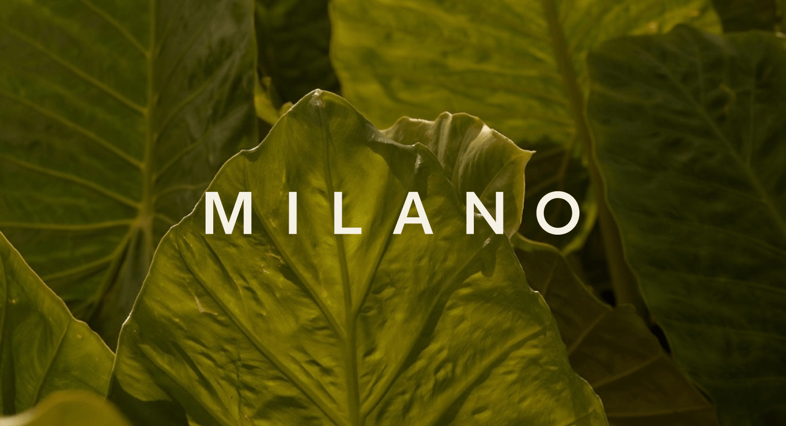 Conheça o projeto - MILANO Conheça o projeto - MILANO