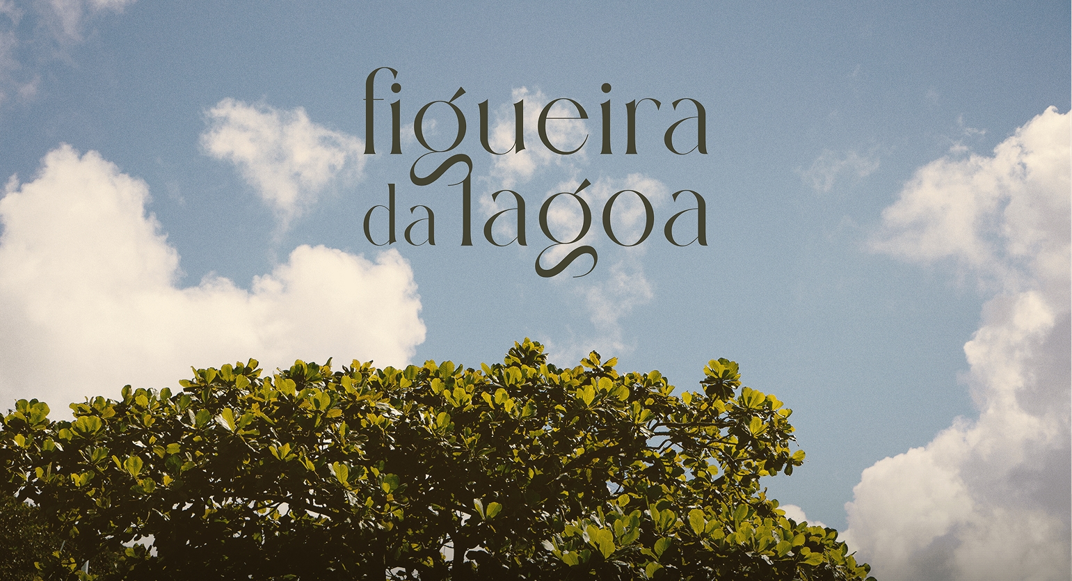 Conheça o projeto - Figueira da Lagoa Conheça o projeto - Figueira da Lagoa